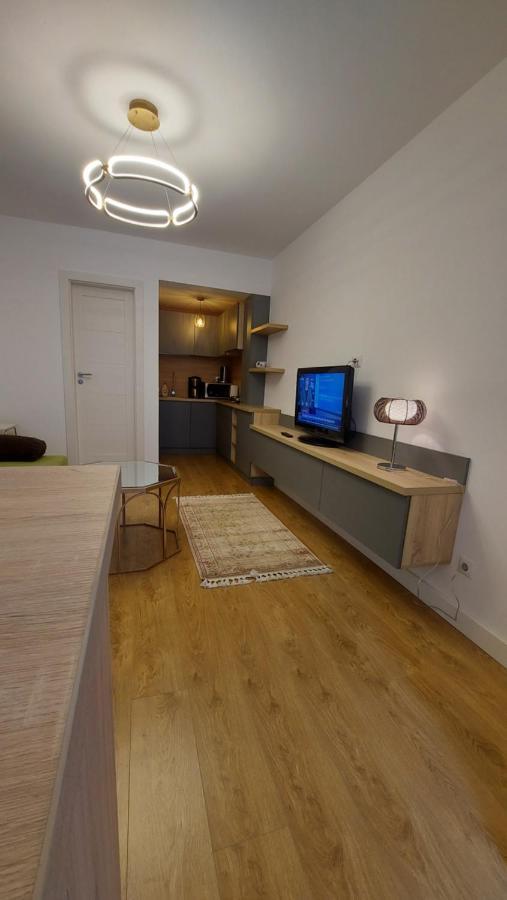 Апартаменти Studio Roland Пояна-Брашов Екстер'єр фото